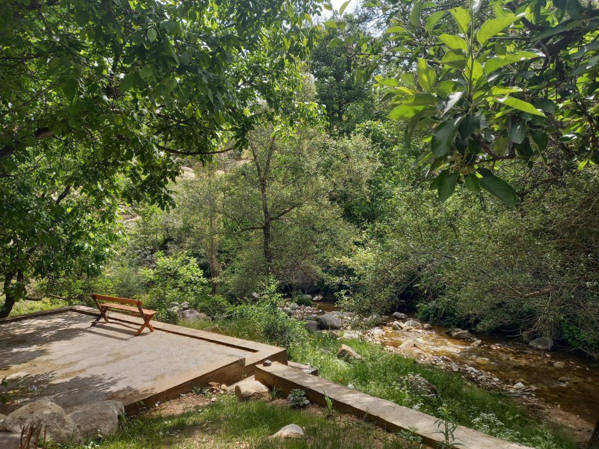 Forest Guest House Mirzakishlak Exterior foto