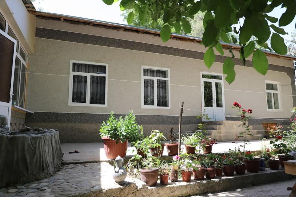 Forest Guest House Mirzakishlak Exterior foto