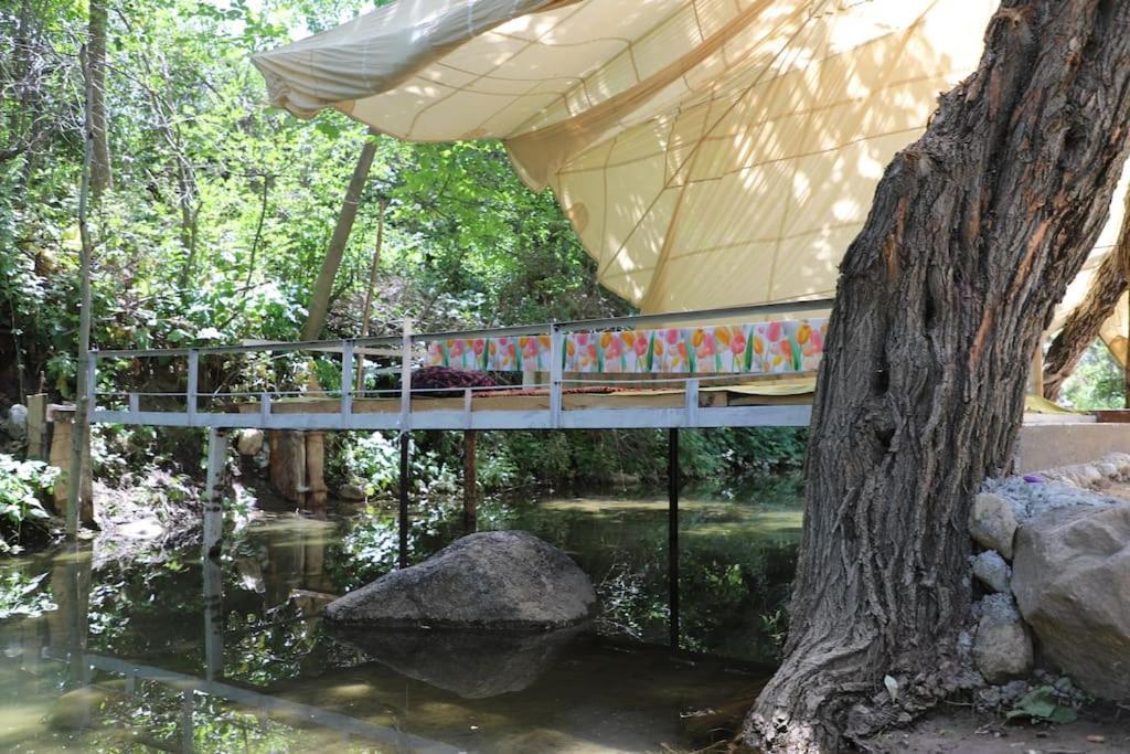 Forest Guest House Mirzakishlak Exterior foto